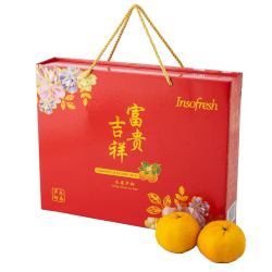 Harmonious Success 12s XL Premium Mountain Mandarin Orange